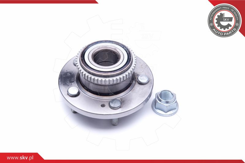 ESEN SKV Radlagersatz