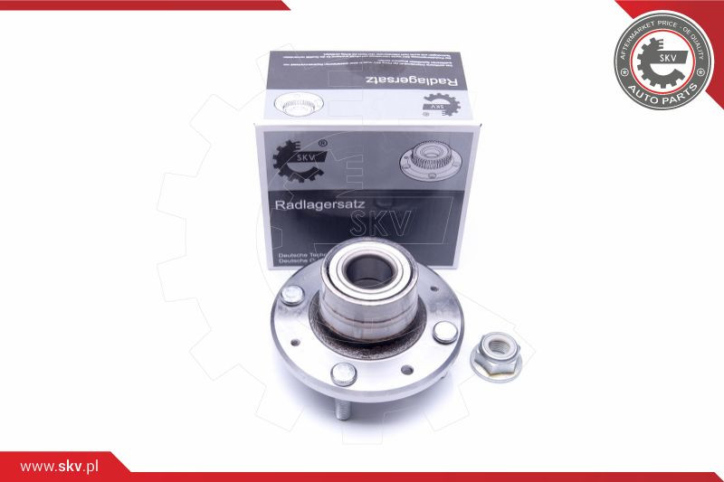 ESEN SKV Radlagersatz
