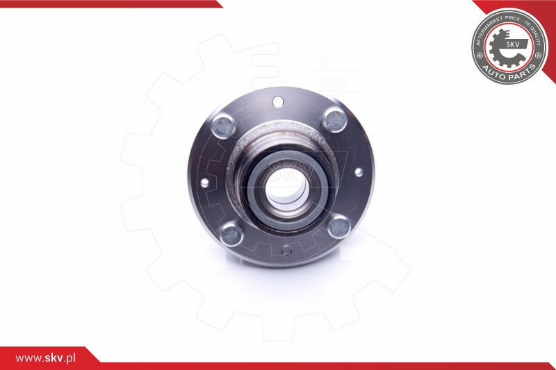 ESEN SKV Radlagersatz