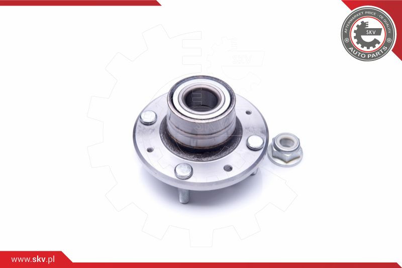 ESEN SKV Radlagersatz