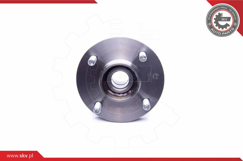 ESEN SKV Radlagersatz