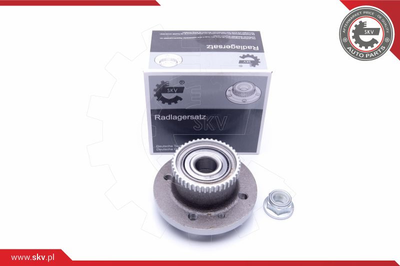 ESEN SKV Radlagersatz
