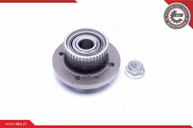 ESEN SKV Radlagersatz