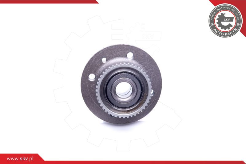 ESEN SKV Radlagersatz