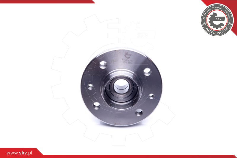 ESEN SKV Radlagersatz