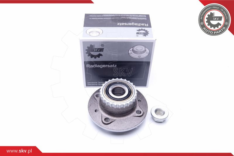 ESEN SKV Radlagersatz