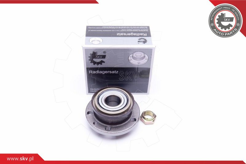 ESEN SKV Radlagersatz