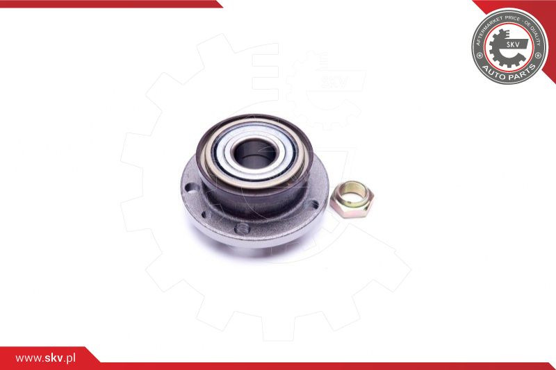 ESEN SKV Radlagersatz