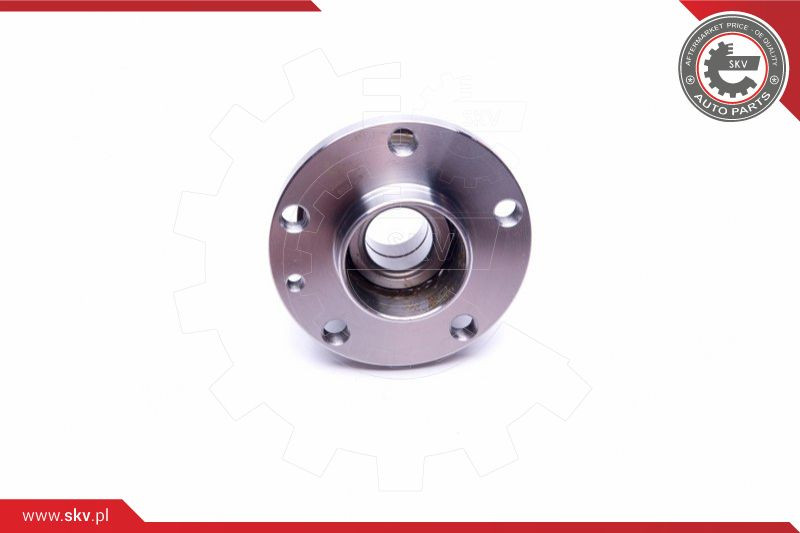 ESEN SKV Radlagersatz