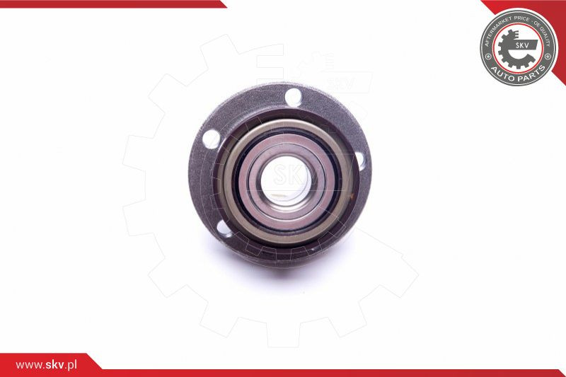 ESEN SKV Radlagersatz