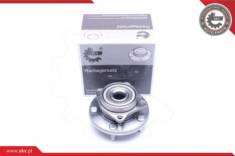 ESEN SKV Radlagersatz