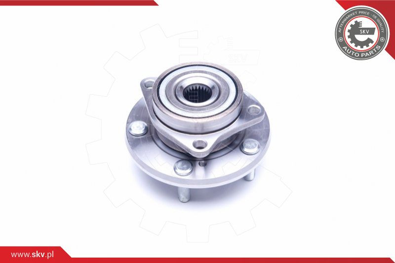 ESEN SKV Radlagersatz