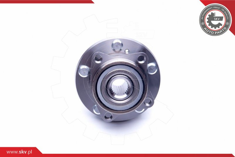 ESEN SKV Radlagersatz