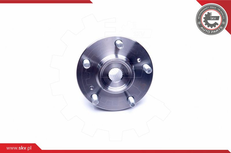 ESEN SKV Radlagersatz