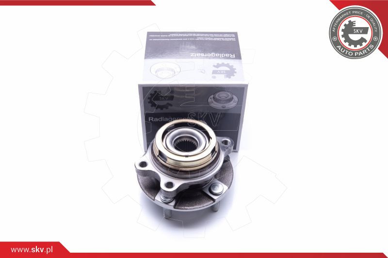 ESEN SKV Radlagersatz