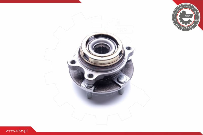 ESEN SKV Radlagersatz