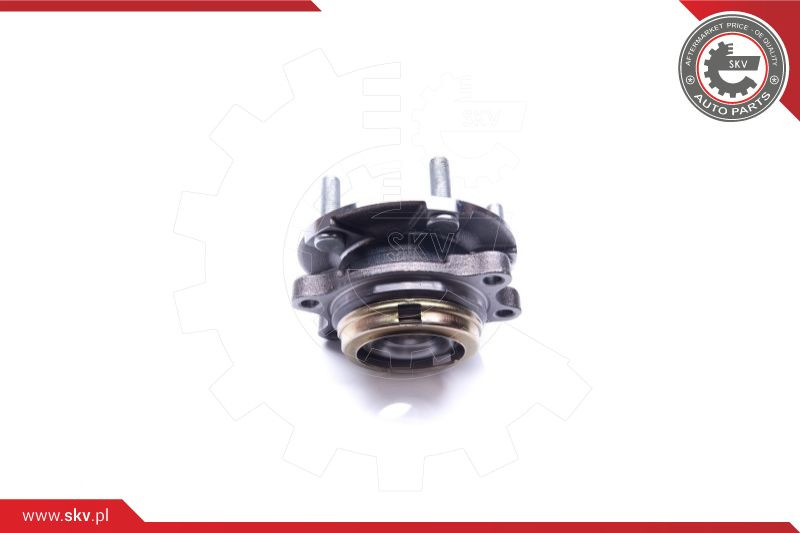 ESEN SKV Radlagersatz