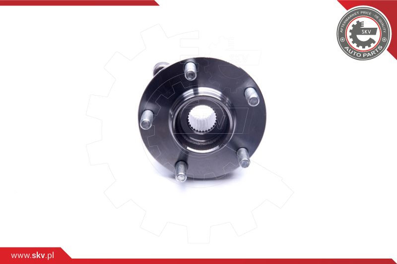 ESEN SKV Radlagersatz