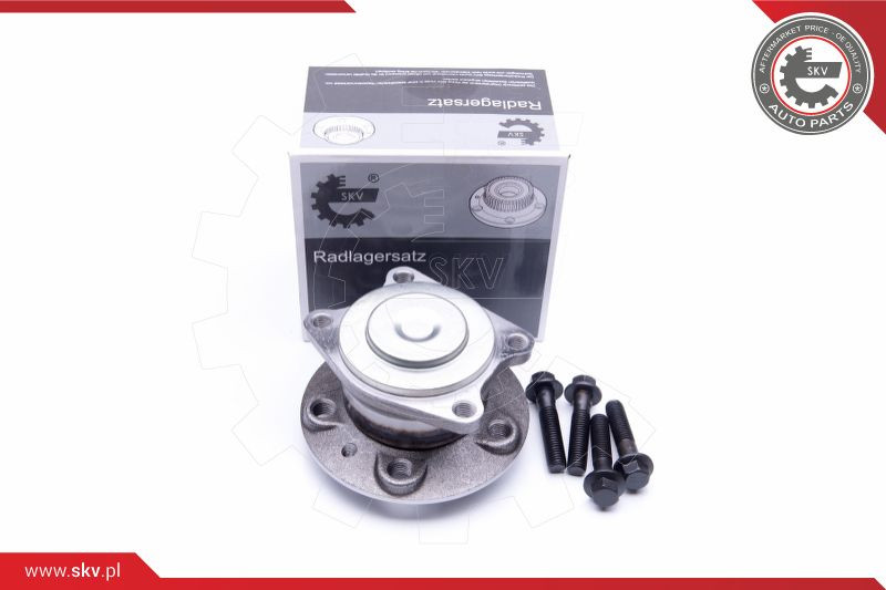 ESEN SKV Radlagersatz