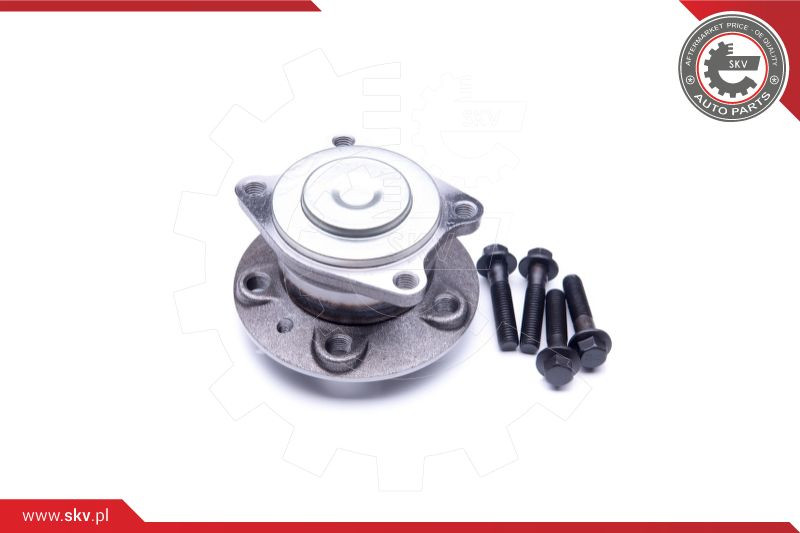 ESEN SKV Radlagersatz