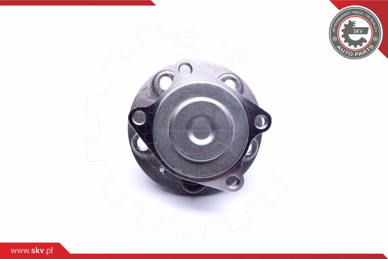 ESEN SKV Radlagersatz