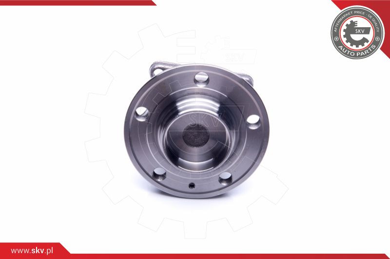 ESEN SKV Radlagersatz
