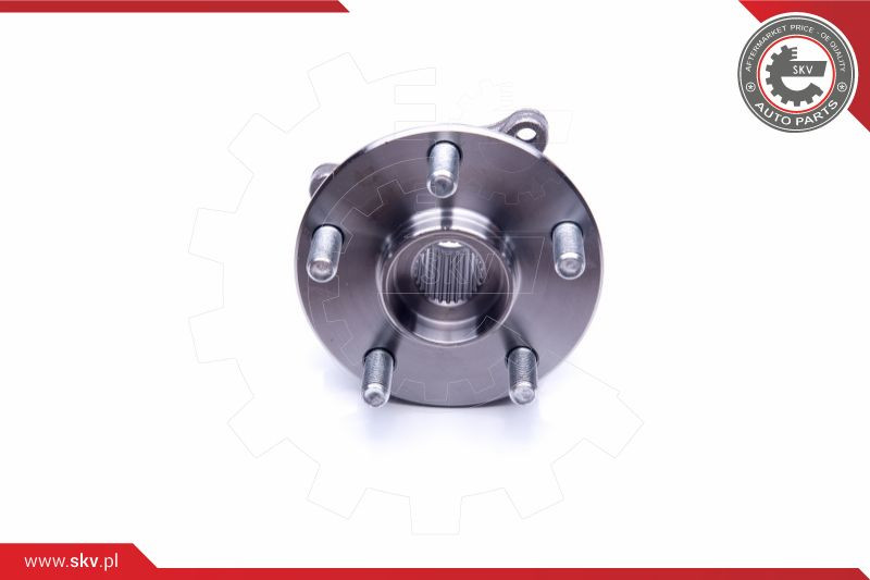 ESEN SKV Radlagersatz