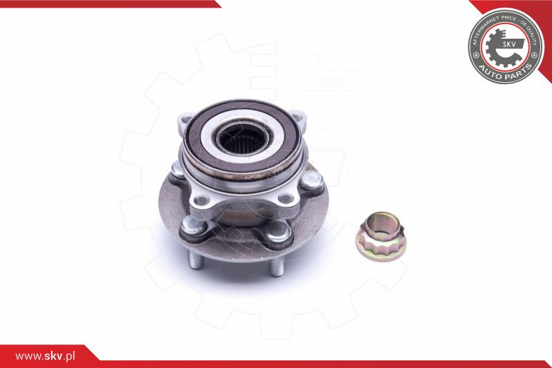 ESEN SKV Radlagersatz