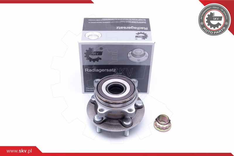 ESEN SKV Radlagersatz
