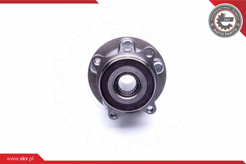 ESEN SKV Radlagersatz
