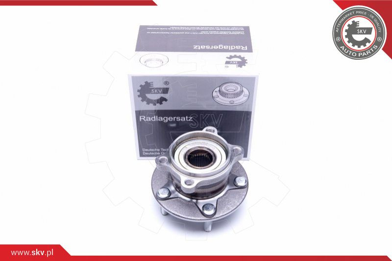ESEN SKV Radlagersatz