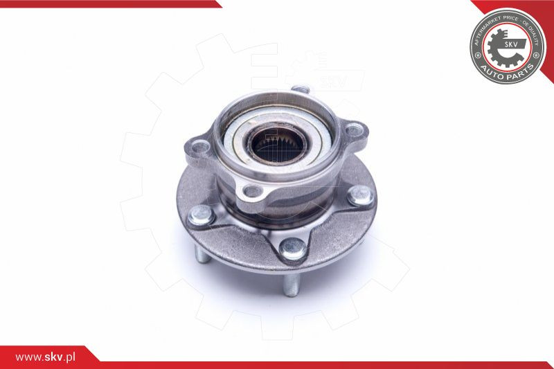 ESEN SKV Radlagersatz