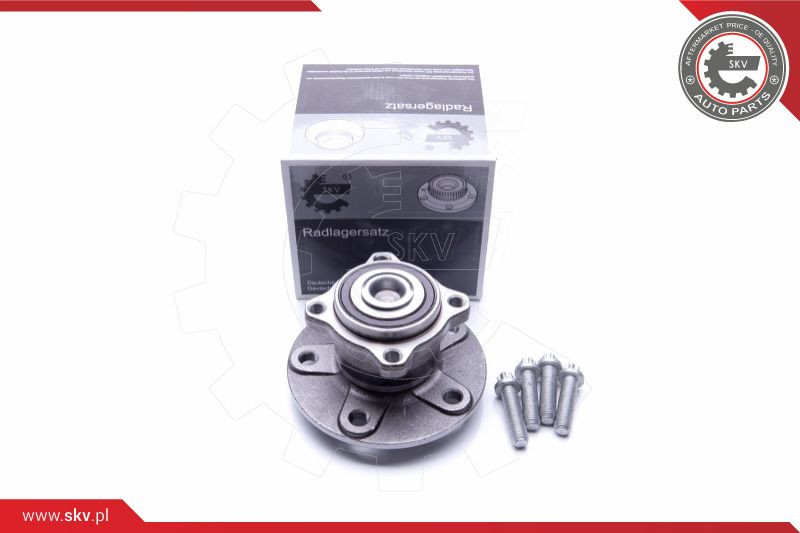 ESEN SKV Radlagersatz