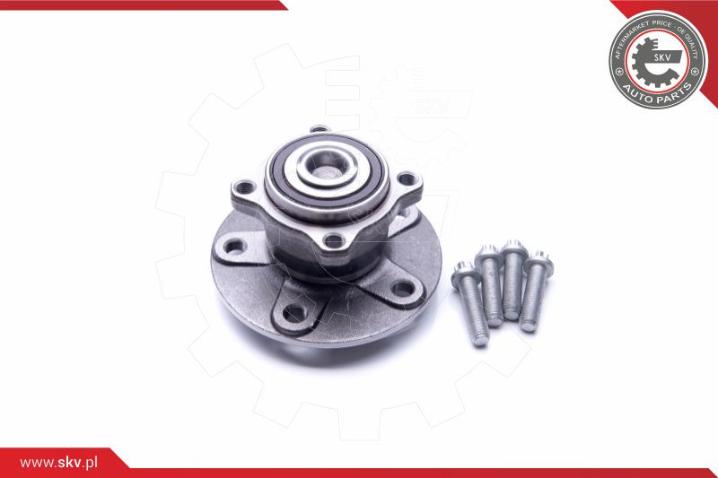 ESEN SKV Radlagersatz
