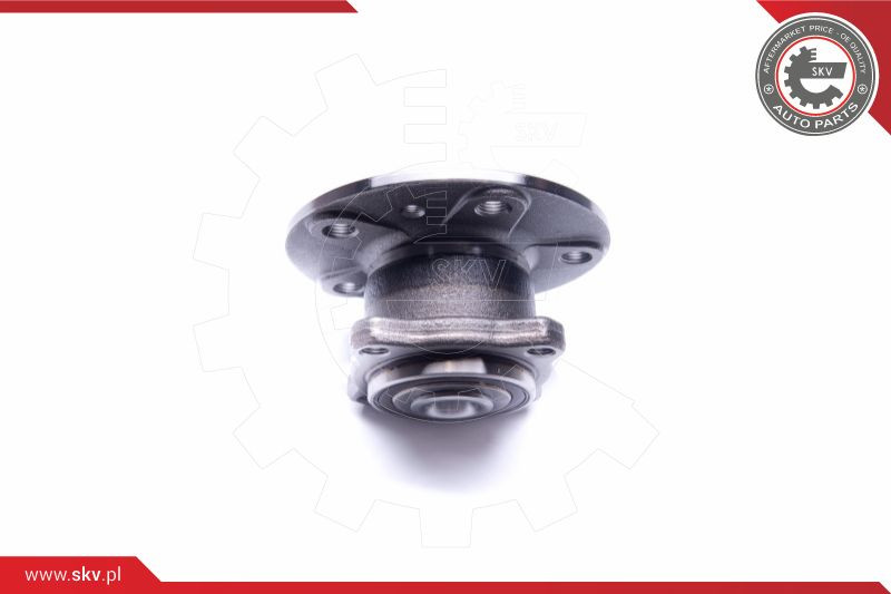 ESEN SKV Radlagersatz