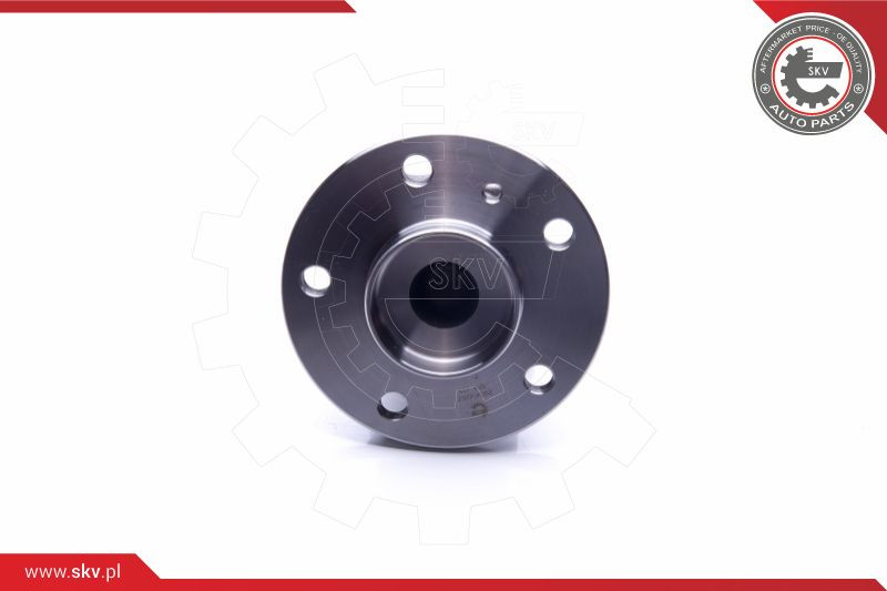 ESEN SKV Radlagersatz