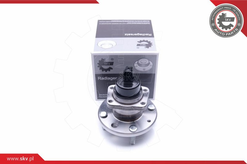 ESEN SKV Radlagersatz