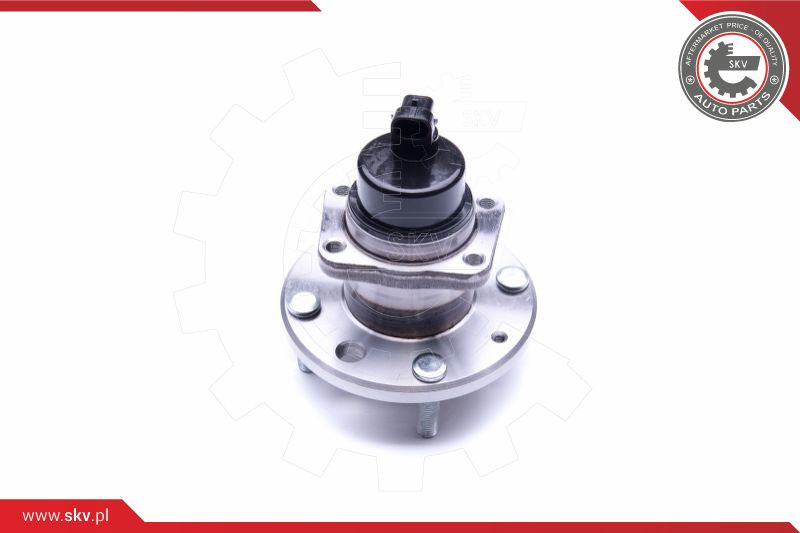 ESEN SKV Radlagersatz