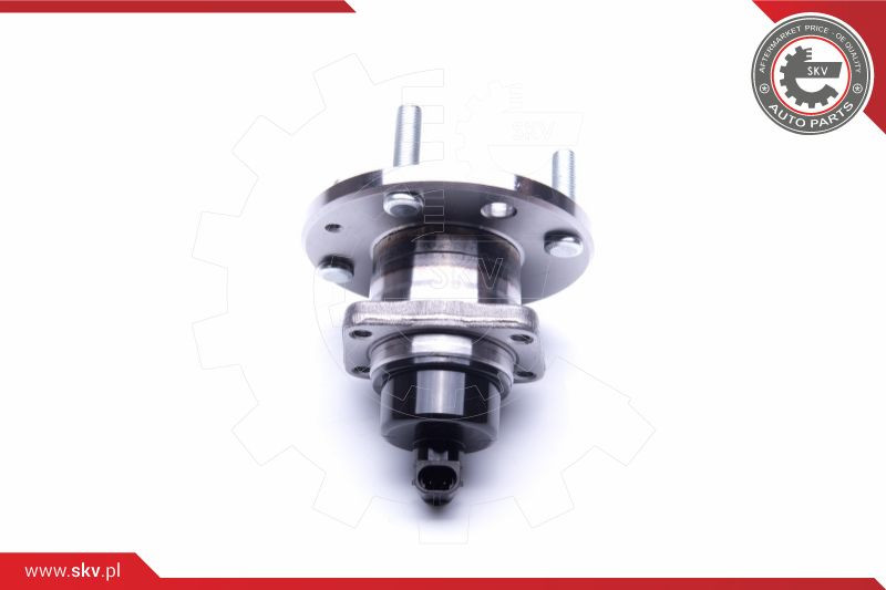 ESEN SKV Radlagersatz