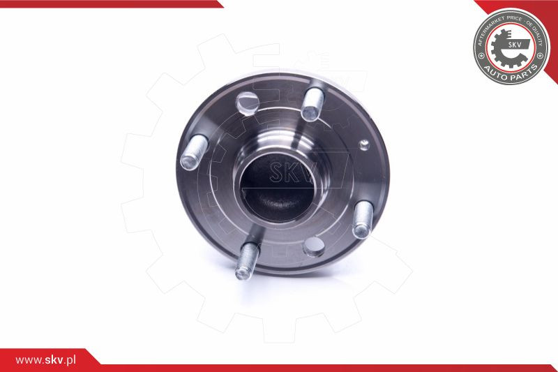 ESEN SKV Radlagersatz