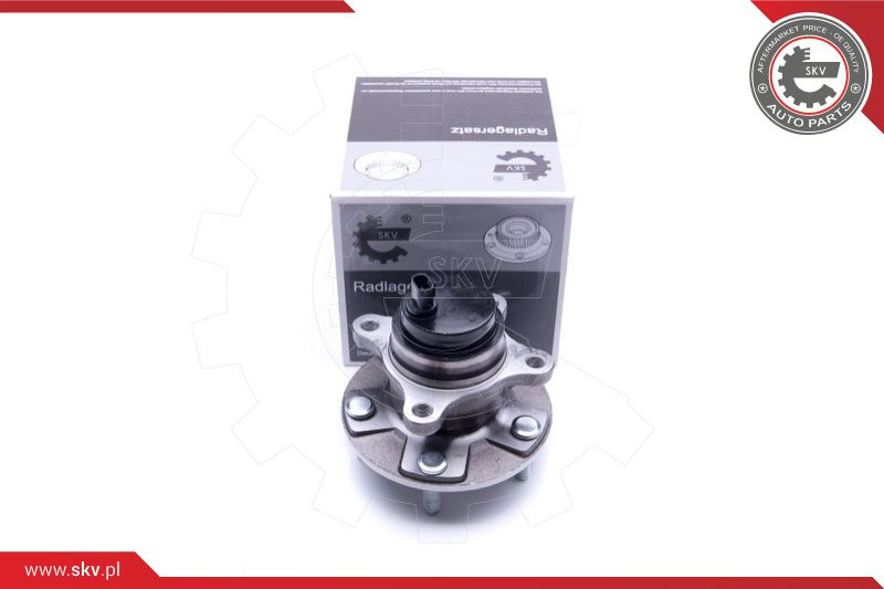 ESEN SKV Radlagersatz