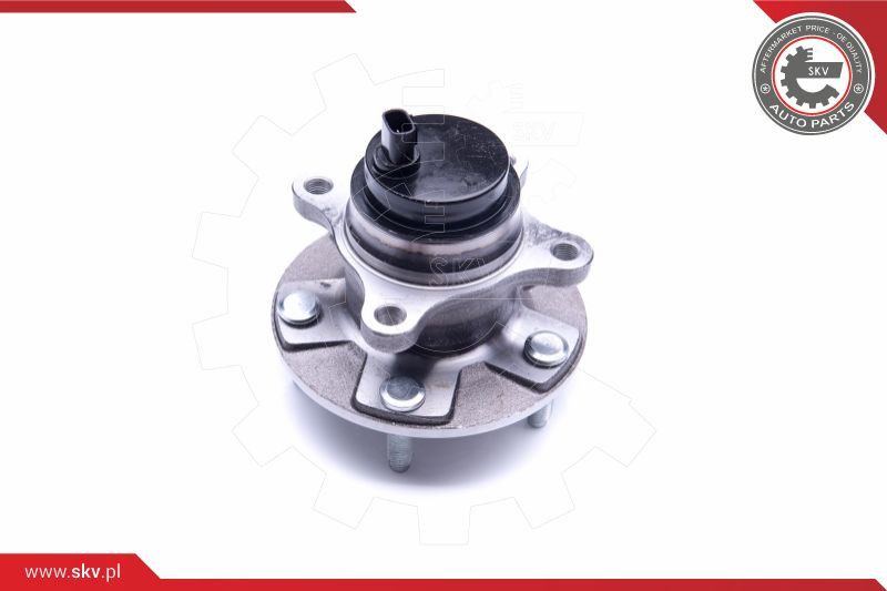 ESEN SKV Radlagersatz