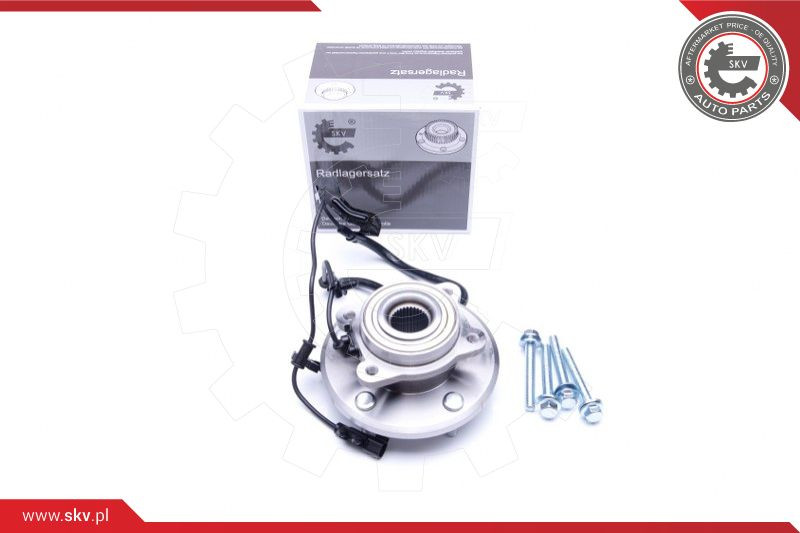 ESEN SKV Radlagersatz