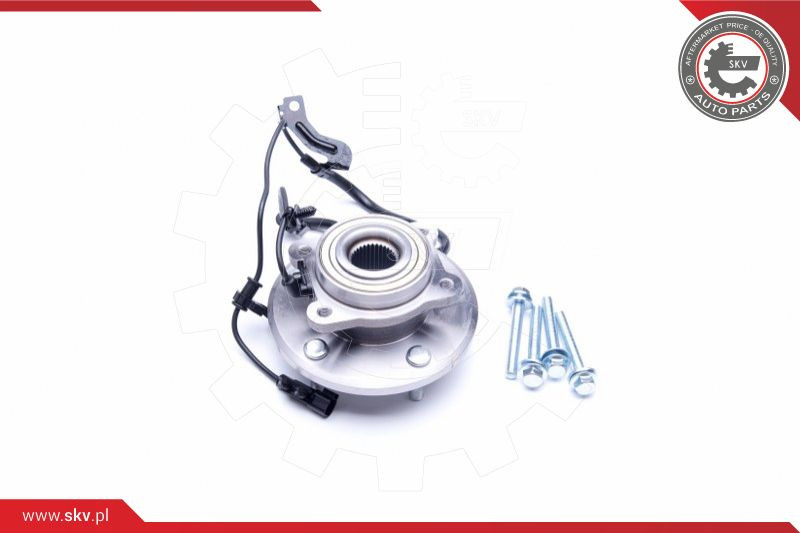 ESEN SKV Radlagersatz