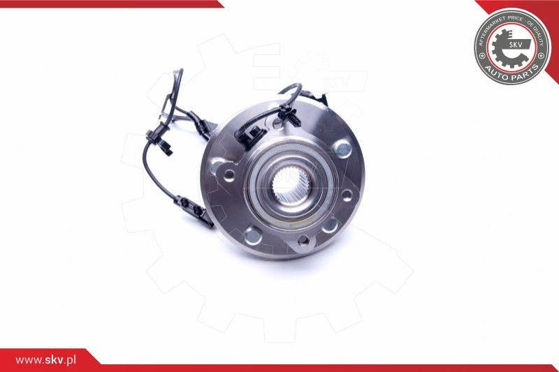 ESEN SKV Radlagersatz