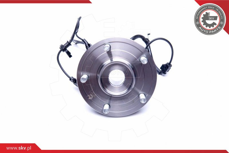 ESEN SKV Radlagersatz