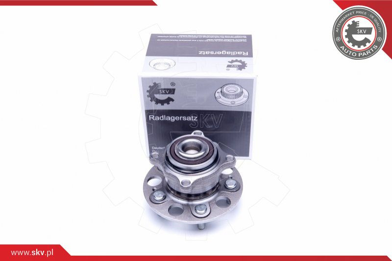 ESEN SKV Radlagersatz