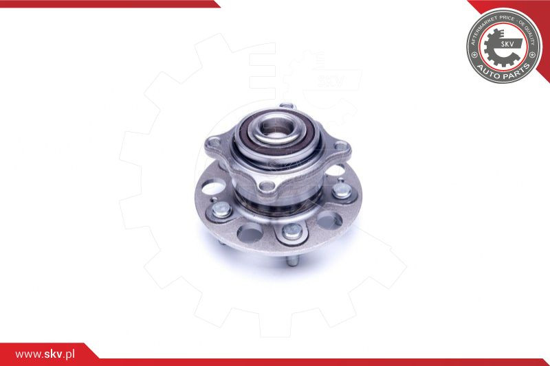 ESEN SKV Radlagersatz