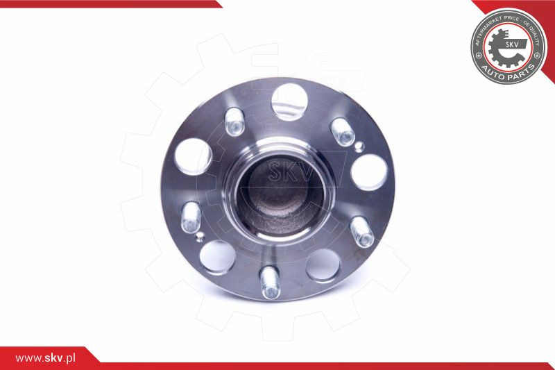 ESEN SKV Radlagersatz