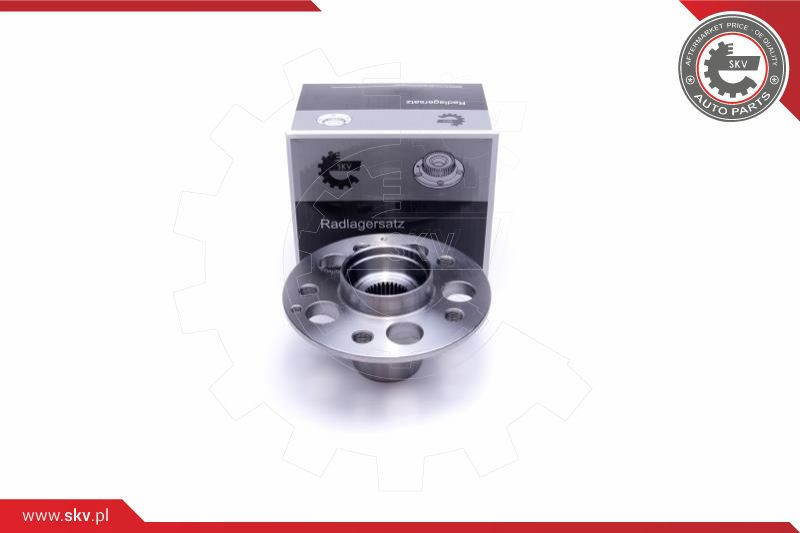 ESEN SKV Radlagersatz